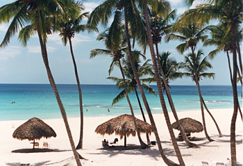 ドミニカ共和国の白い砂浜と青い海