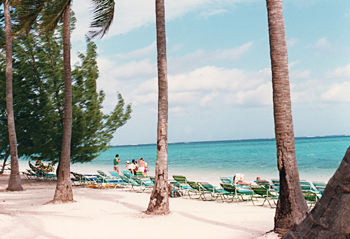 ドミニカ共和国の白い砂浜と青い海